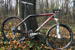 scott scale 20