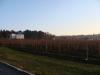 DSC00291.jpg