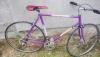 originalslika_Trkacki-bicikl-sa-tankim-gumama--199227571.jpg
