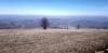 20210221_121826.jpg