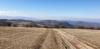 20210221_130557.jpg