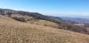 20210221_124704.jpg