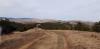 20210206_115147.jpg
