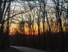 IMG_20230216_170025~2.jpg