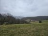 IMG-20260201-WA0003.jpg