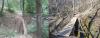 Staro Hopovo - old and new bridge.jpg