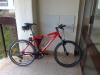 28032010357zzzzzzzzzzzzzzzzzz.jpg