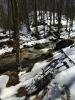 IMG_20180329_124653-780x1040.jpg