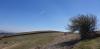 20190324_114209.jpg