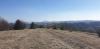 20190324_142223.jpg