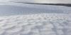 20190307_151523.jpg