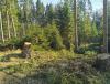 IMG_20200326_153339.jpg