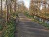 IMG_20200317_174000.jpg