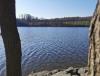 IMG_20200326_154752.jpg