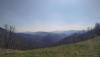 IMG_20200321_131836.jpg