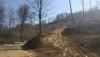IMG_20200321_134110.jpg