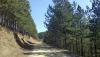 IMG_20200321_124155.jpg