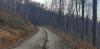 20200319_163011.jpg