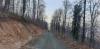 20200319_163519.jpg