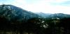 20210327_131920.jpg
