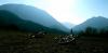 20210307_140933.jpg