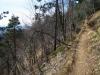 P6.jpg
