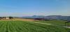 20230319_161645.jpg