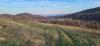 20230323_170320.jpg