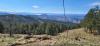 20230326_104428.jpg