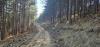 20260315_135037.jpg