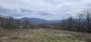 20260322_133437.jpg