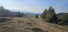 20260308_153424.jpg