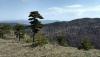 IMG-0aac1bd1585208fa8743585d0a76ea96-V.jpg