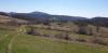20200407_143339.jpg