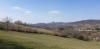 20200410_154655.jpg