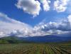 IMG_20200430_154526.jpg