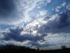 IMG_20200428_170657.jpg