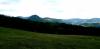 20210401_114951.jpg