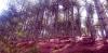20210410_120910.jpg
