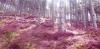20210410_120944.jpg