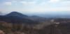 20210401_134101.jpg