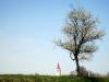 S6.JPG