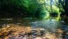 IMG_20170521_155935_325 - Copy.jpg