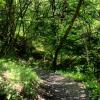 IMG_20170521_155538_899 - Copy.jpg