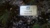 DSC_0051 - Copy.JPG