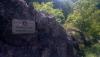 DSC_0046 - Copy.JPG