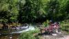 IMG_20170521_160119_028 - Copy.jpg
