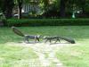 DSC02177.JPG