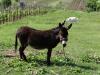 DSC02141.JPG