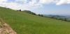 20190518_140530.jpg